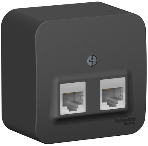 Розетка компьютерная накладная Systeme Electric Blanca 2-м. RJ45+RJ45 5e антрацит картинка